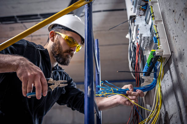 Best Licensed Electrician  in Okawvle, IL
